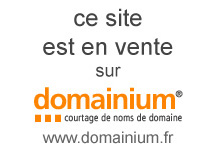 le site bird.fr est en vente sur domainium